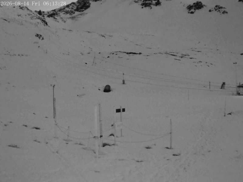 Snowstake