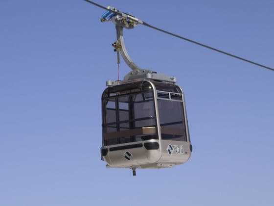 How many ski resorts does Vail own?