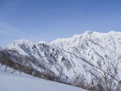 The 5 Best Ski Resorts in Nagano